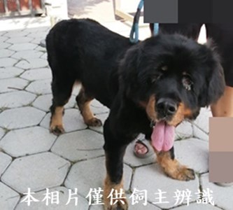 11408150013收15