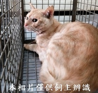 11408150014收48
