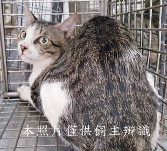 11408160006收-54
