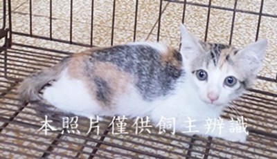11408160019收-80