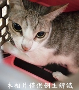 11408190001收5