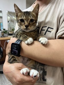 IMG_9301.jpeg