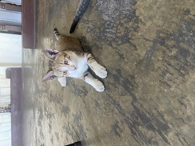 IMG_6714.jpeg