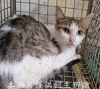 11408210013收-69