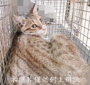 11408310002收-13