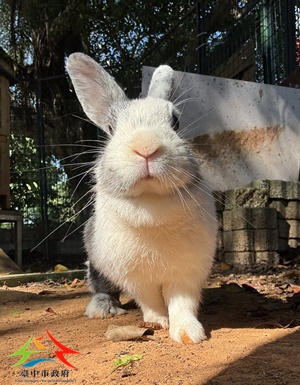 動物編號:S__61907012_0