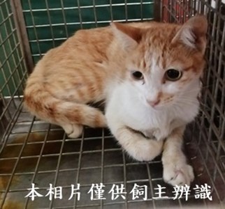 11409060004收23