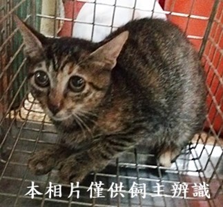 11409060006收75