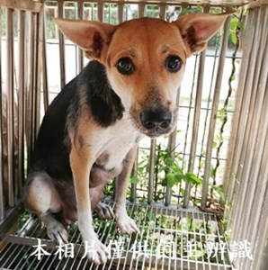11409060012收E8