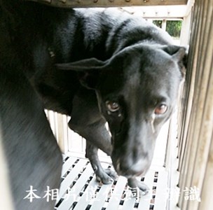 11409070001收C