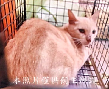 11409080002收-67