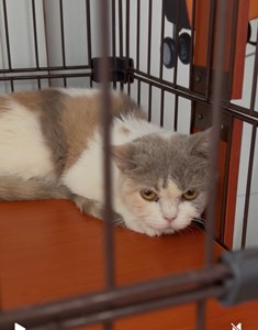 IMG_2031.jpeg