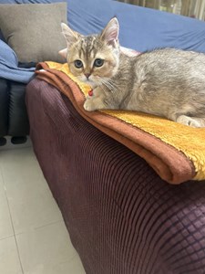 IMG_3520.jpeg