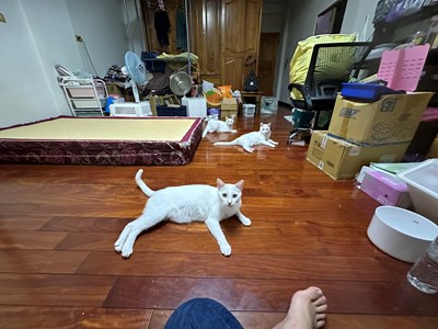 IMG_4640.jpeg