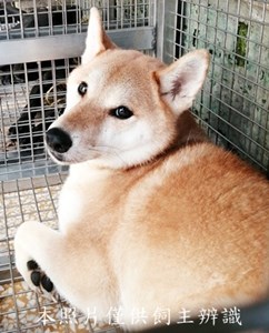 11409100007收Y