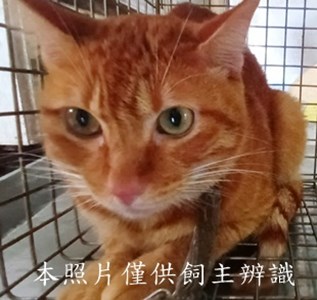 11409100009收11