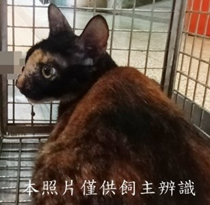 11409100010收67