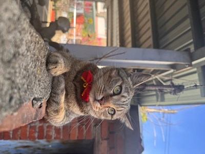 IMG_3266.jpeg