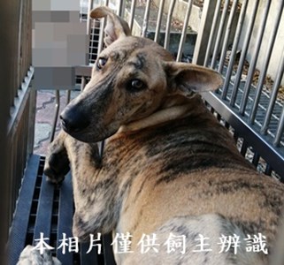 11409110001收Y