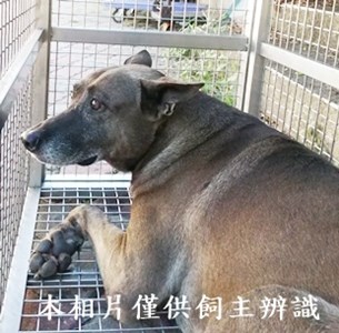 11409110002收W