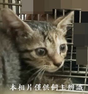 11409110007收9