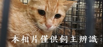 11409110008收35