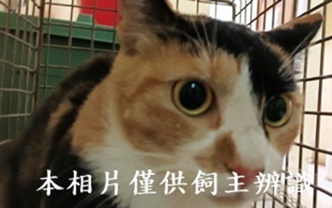 11409110009收17