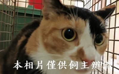 11409110009收17