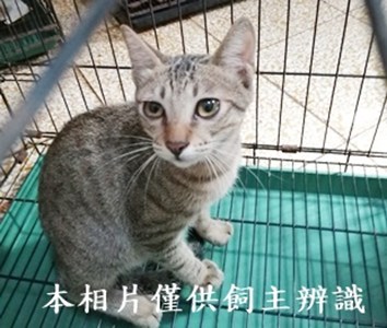 11409110012收1