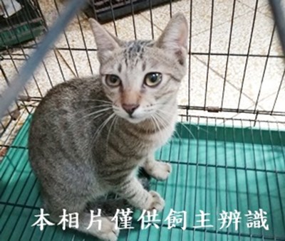11409110012收1