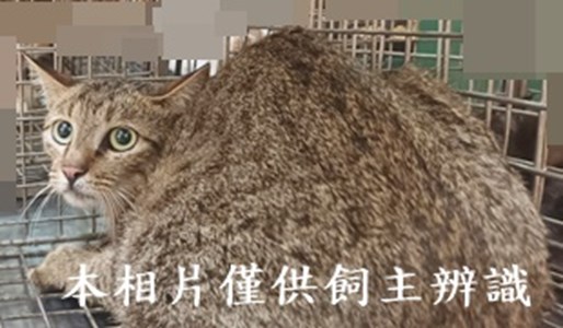 11409120001收41