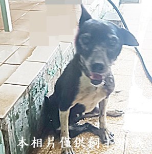 11409120010收-安5收