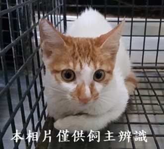 11409150007收-77