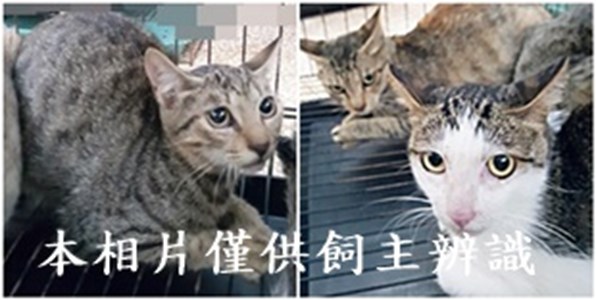 11409150009-11收