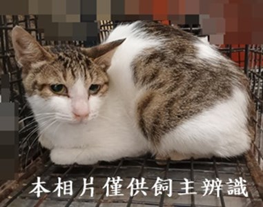11409160003收-42