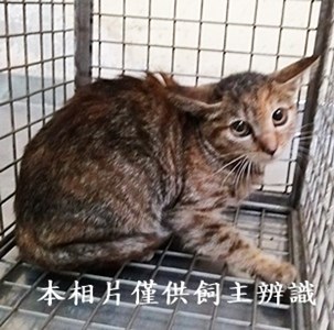 11409160010收68