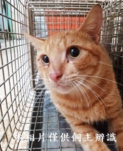 11409160011收1