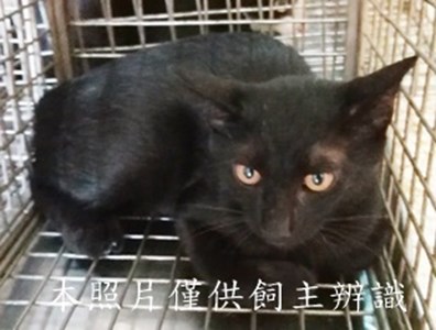 11409190014收39