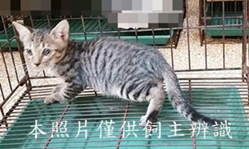 11409190017收76