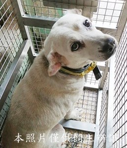11409190018收29