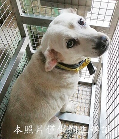 11409190018收29
