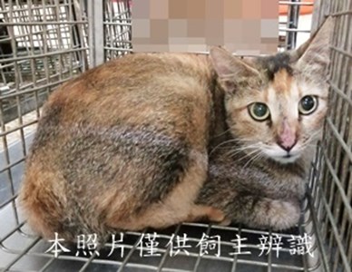 11409190019收72