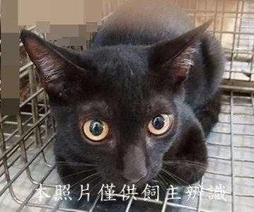 11409190020收68