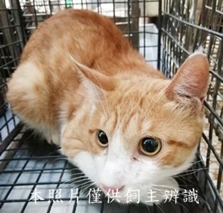 11409190022收32