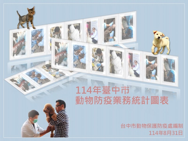 投影片1