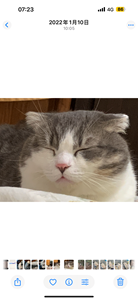 IMG_5580.png