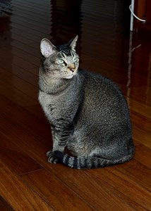 IMG_5594.jpeg