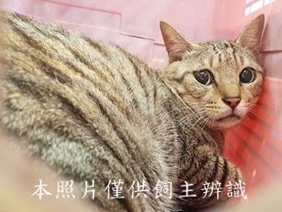 11410160011收-棄