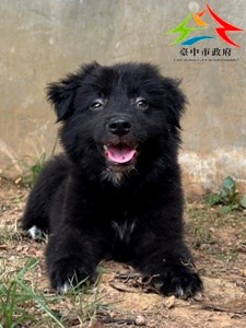 11409308018 仁愛