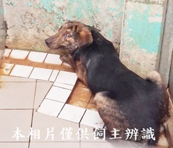 11410220001收-F(新)